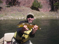 Green River Guide Brown Trout