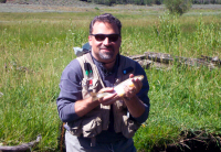 Utah Small Stream Fly Fishing