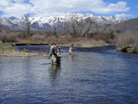 Fly Fishing Provo River near Park City, Utah