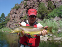 Green River Brown 