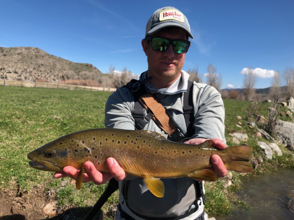 Weber River Fishing Reports | Fly Fishing Conditions, Hatches & Flows