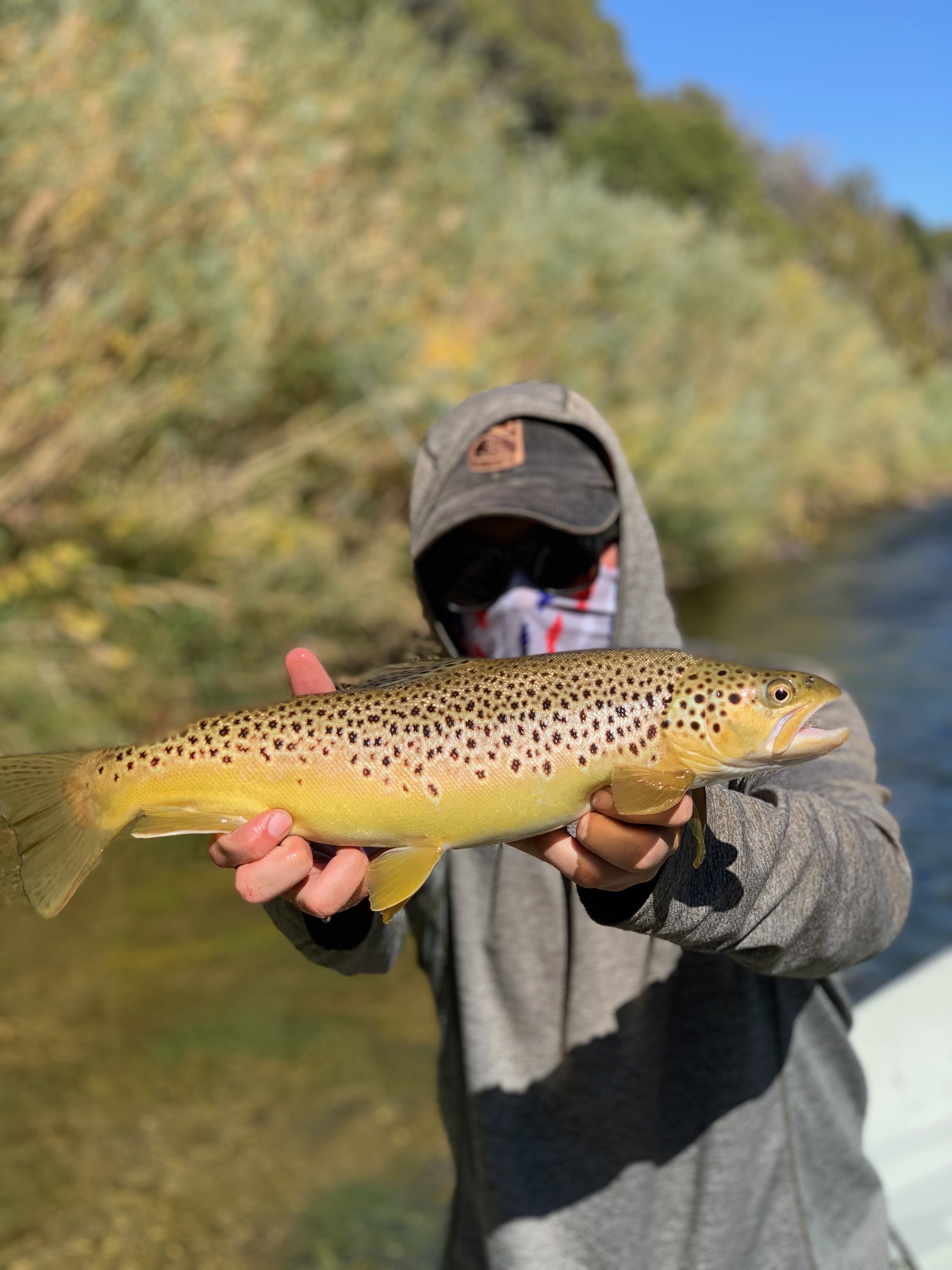 Weber River Hatch Chart