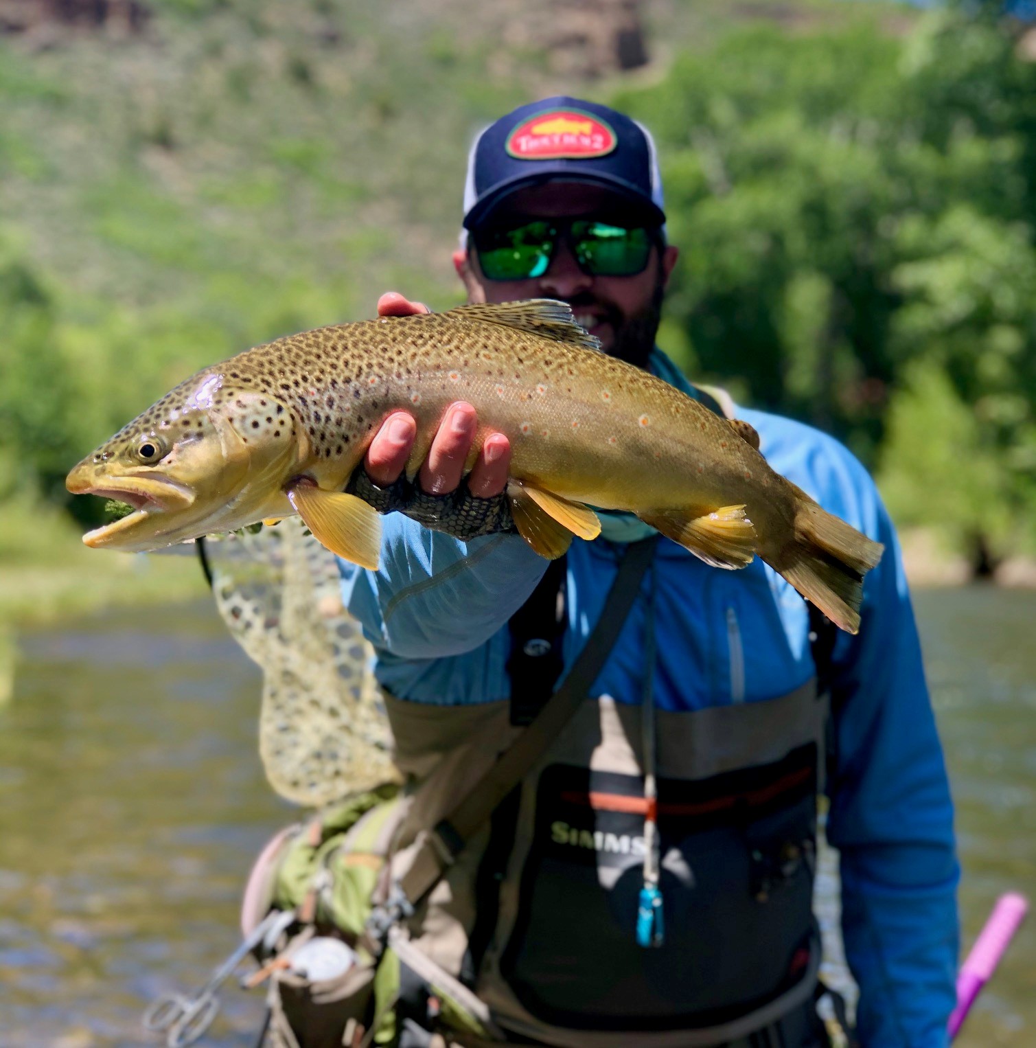 Middle Provo Fishing Reports Provo River Fly Fishing