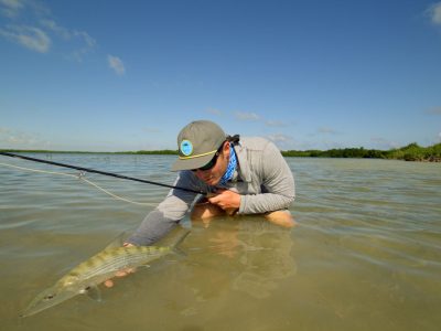 Bonefish-Release