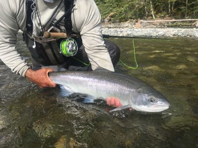 Bright-Steelhead-Over-Water